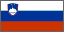 SLOVENIAN